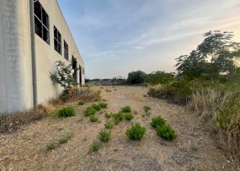 IMG_6135.jpg - Capannone C.da Musebbi, Modica - foto 3