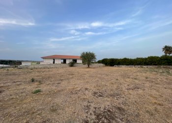 IMG_6138.jpg - Capannone C.da Musebbi, Modica - foto 7