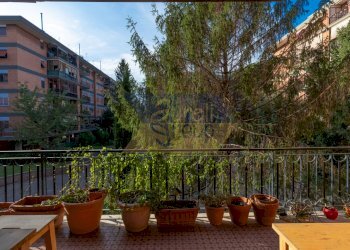 Vista - Trilocale Via Cerenzia, Roma - foto 1