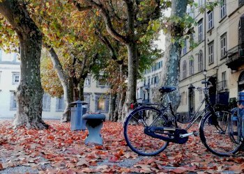 Lucca Piazza Napoleone.jpg - Locale Commerciale Lucca - foto 1