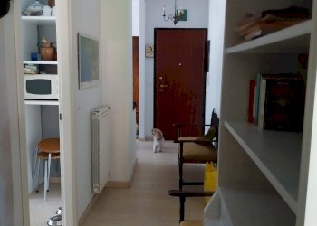 20230824_103011.jpg - Appartamento Carrara - foto 9