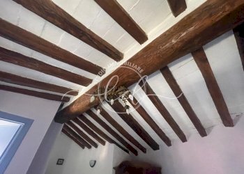 PHOTO-2025-07-15-12-15-45.jpg - Terratetto - Terracielo Stazzema - foto 12