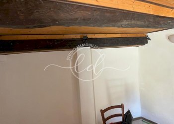 PHOTO-2025-07-15-12-15-51 7.jpg - Terratetto - Terracielo Stazzema - foto 27