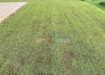 IMG_0014.JPG - Terreno agricolo Via Nespolo 43, Montignoso - foto 10