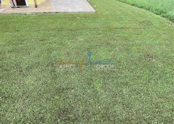 IMG_0013.JPG - Terreno agricolo Via Nespolo 43, Montignoso - foto 12