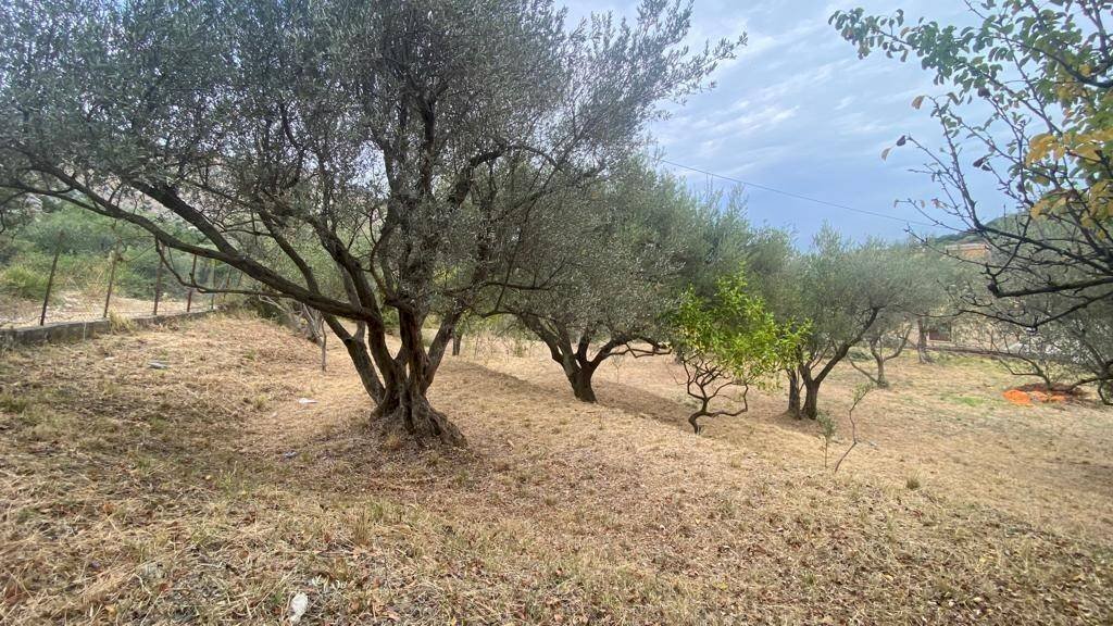 Terreno agricolo via Fiume Falco, Carini - foto 2