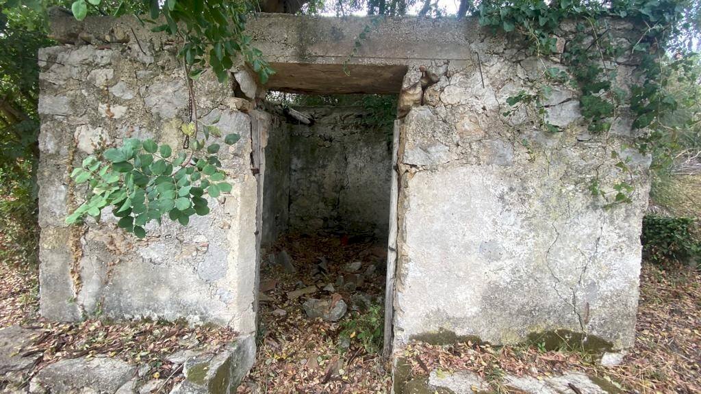 Terreno agricolo via Fiume Falco, Carini - foto 3