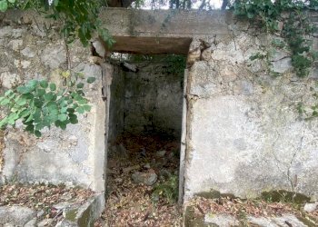 Terreno agricolo via Fiume Falco, Carini - foto 3