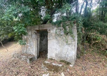 Terreno agricolo via Fiume Falco, Carini - foto 5