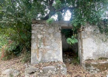 Terreno agricolo via Fiume Falco, Carini - foto 6