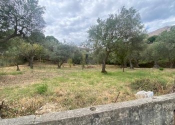 Terreno agricolo via Fiume Falco, Carini - foto 7