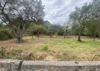 Terreno agricolo via Fiume Falco, Carini - foto 8