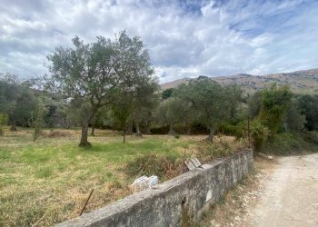 Terreno agricolo via Fiume Falco, Carini - foto 9