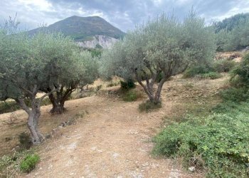 Terreno agricolo via Fiume Falco, Carini - foto 12