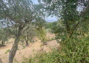 Terreno agricolo via Fiume Falco, Carini - foto 13