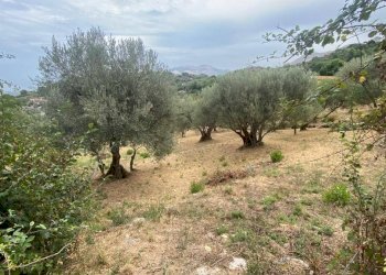 Terreno agricolo via Fiume Falco, Carini - foto 14
