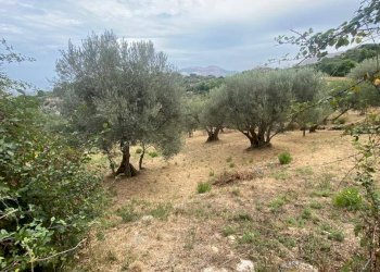 Terreno agricolo via Fiume Falco, Carini - foto 15
