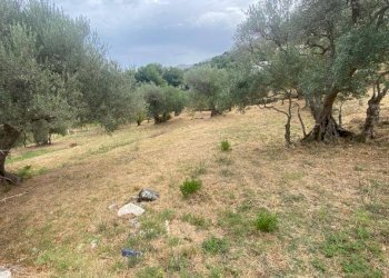 Terreno agricolo via Fiume Falco, Carini - foto 16