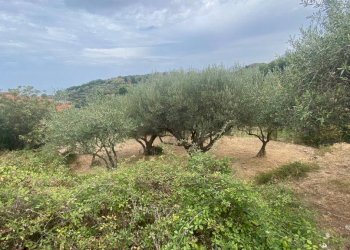 Terreno agricolo via Fiume Falco, Carini - foto 17