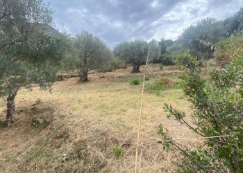 Terreno agricolo via Fiume Falco, Carini - foto 18
