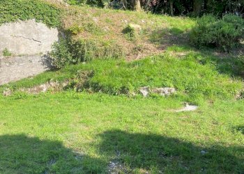 Esterni villa - giardino - Villa via Scalini 38, Brunate - foto 8