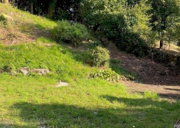 Esterni villa - giardino - Villa via Scalini 38, Brunate - photo 8
