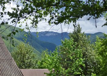 Casale Pamparato - photo 14