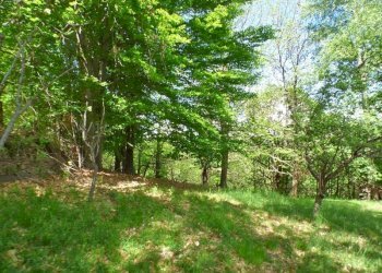 Casale Pamparato - photo 15