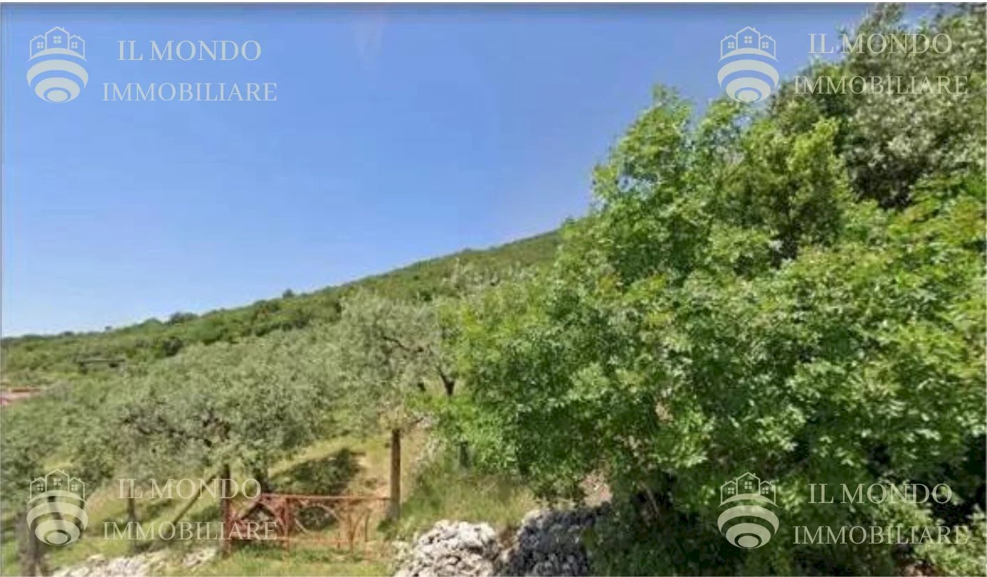 Terreno agricolo Strada di Piedimonte, snc., Palombara Sabina - foto 1