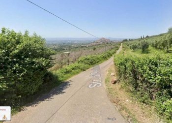 Terreno agricolo Strada di Piedimonte, snc., Palombara Sabina - foto 3