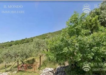 Terreno agricolo Strada di Piedimonte, snc., Palombara Sabina - foto 1