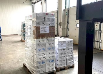 Capannone Via Federico Barbarossa, 6., Cavenago d'Adda - foto 15