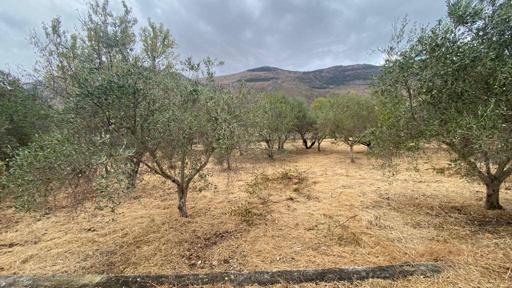 Terreno edificabile via Strada Statale 113 Est, Carini - foto 3