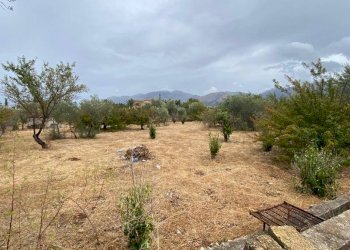 Terreno edificabile via Strada Statale 113 Est, Carini - foto 1