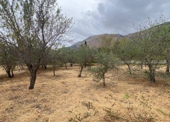 Terreno edificabile via Strada Statale 113 Est, Carini - foto 4