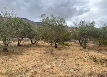 Terreno edificabile via Strada Statale 113 Est, Carini - foto 7