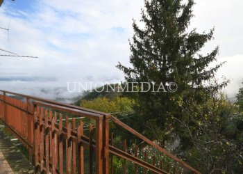 11.jpg - Appartamento tendola, Fosdinovo - foto 1