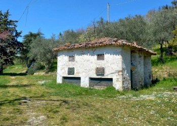 Rustico Castrocaro Terme e Terra del Sole - foto 5