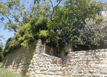 Rustico Castrocaro Terme e Terra del Sole - foto 11