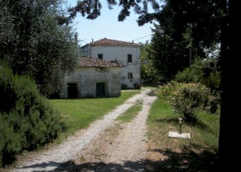 Rustico Castrocaro Terme e Terra del Sole - foto 15