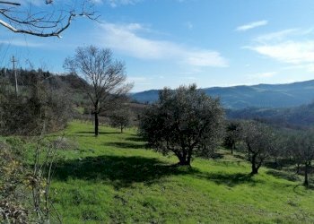 Rustico Castrocaro Terme e Terra del Sole - foto 17