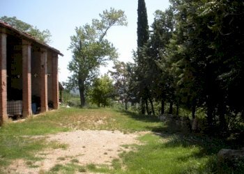 Rustico Castrocaro Terme e Terra del Sole - foto 20