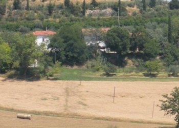 Rustico Castrocaro Terme e Terra del Sole - foto 21