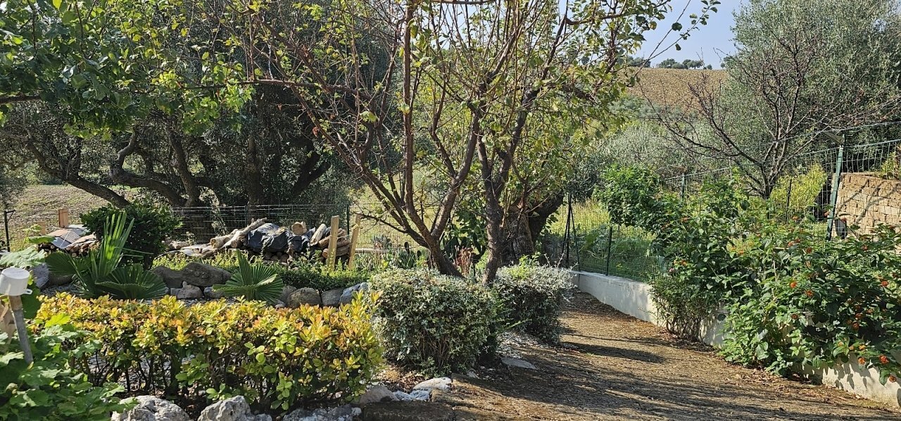 20230926_102918.jpg - Casa indipendente XXV Aprile snc, Monsano - foto 2