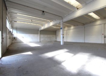 IMG_1831.JPG - Capannone Via Muzza, Valsamoggia - foto 4