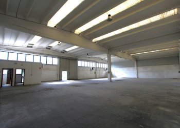 IMG_1833.JPG - Capannone Via Muzza, Valsamoggia - foto 6