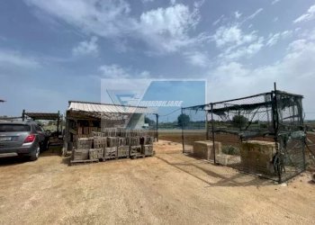 Terreno agricolo Via per Canicattini, Canicattini Bagni - foto 5