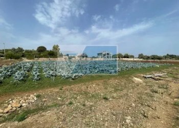 Terreno agricolo Via per Canicattini, Canicattini Bagni - foto 11
