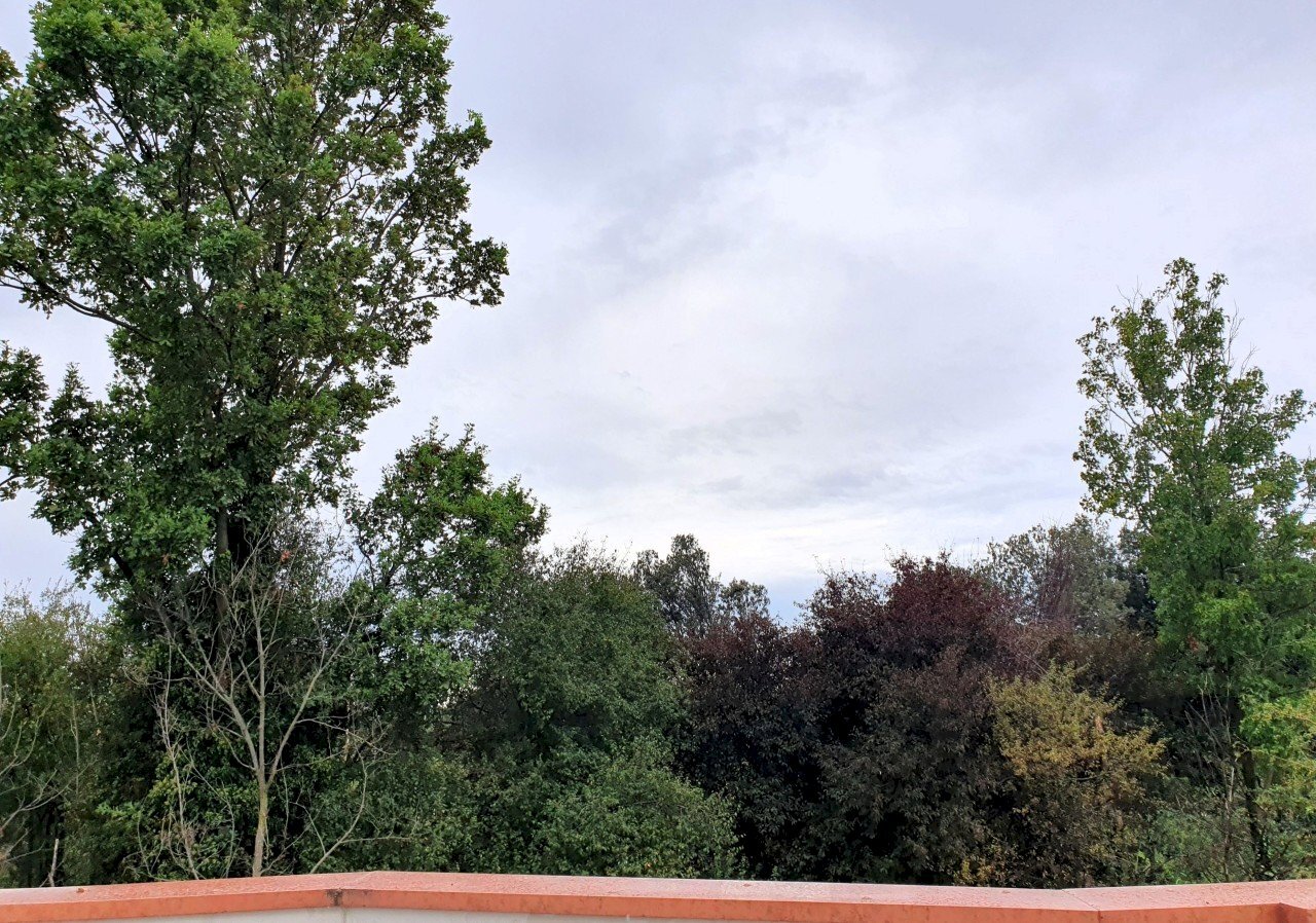 20230829_161447.jpg - Casa indipendente CENTRALE - COLLINARE, Poncarale - foto 2