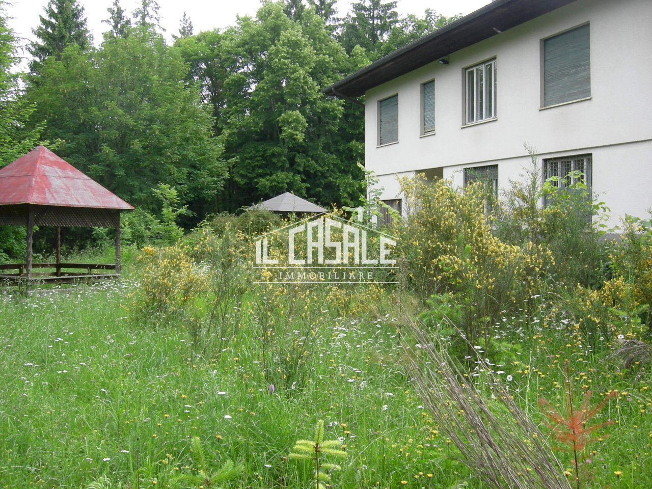 4podernovo.JPG - Independent house Pelago - photo 3